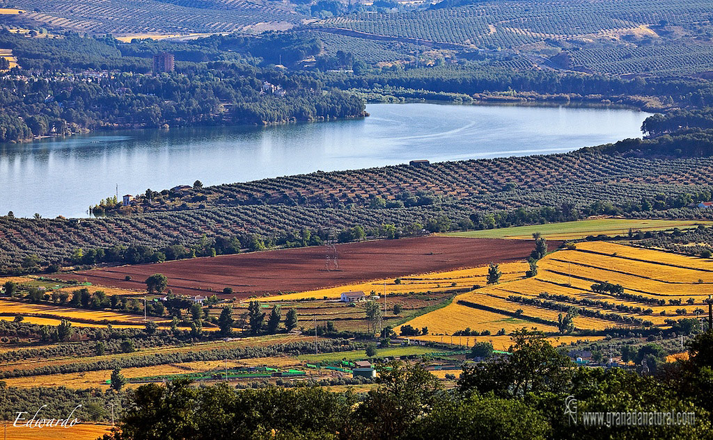 Embalse de cubillas, Granada Natural