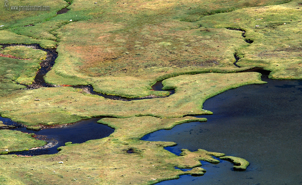 Laguna Hondera ( Sierra Nevada)