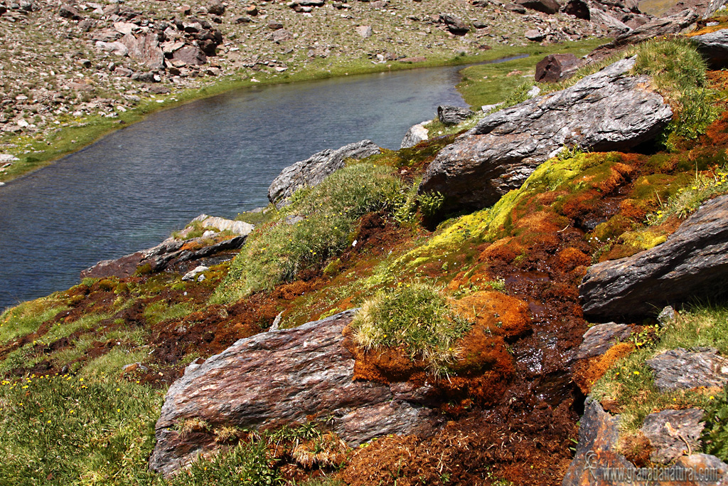 Lagunillo Misterioso. Lagunas de Sierra Nevada