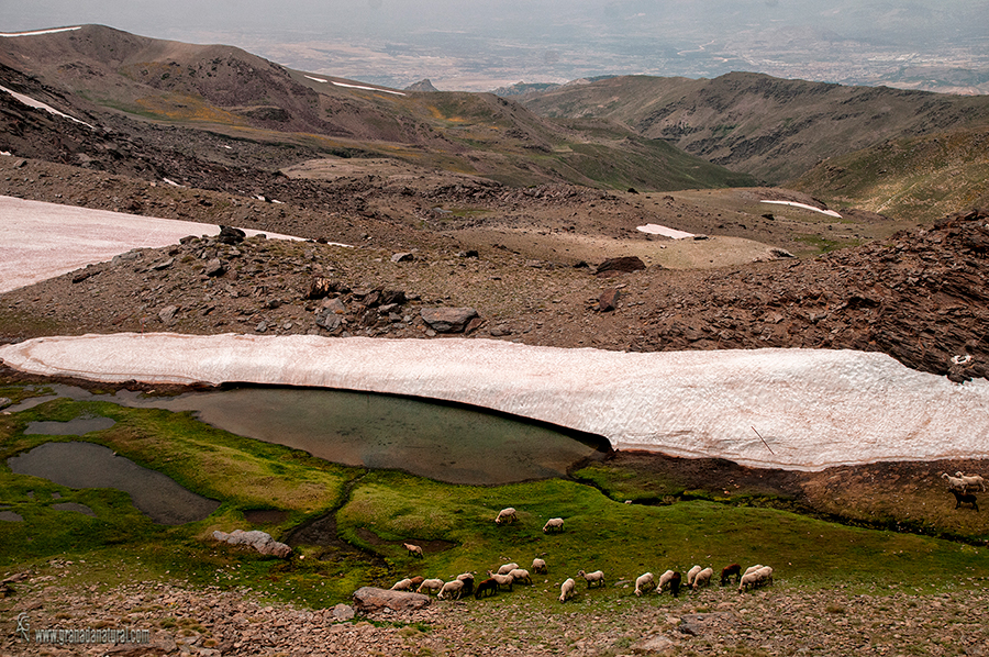 Lagunilllo de la Ermita- lagunas de sierra nevada