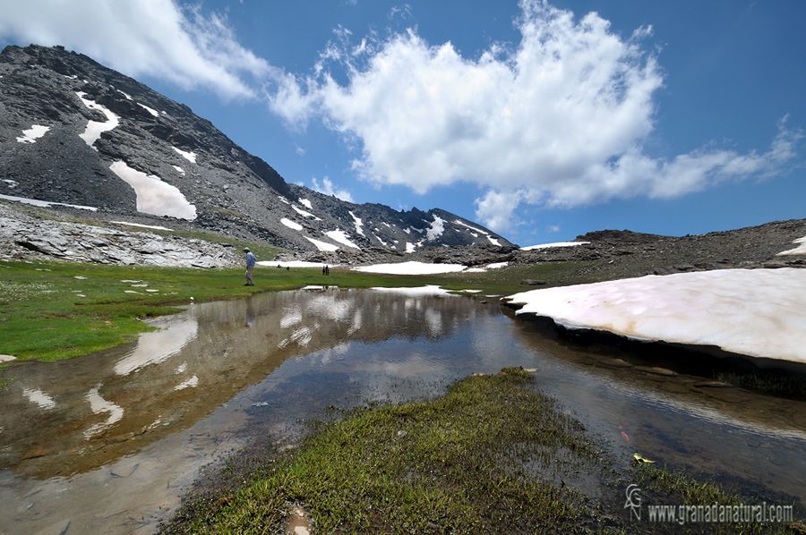 Lagunillo de la Virgen 2014 (Sierra Nevada).