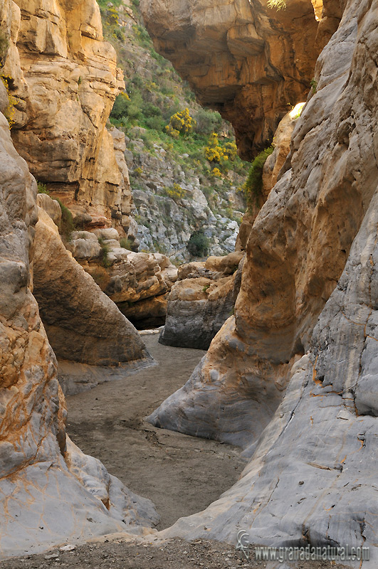 Las Angosturas de Albuñol