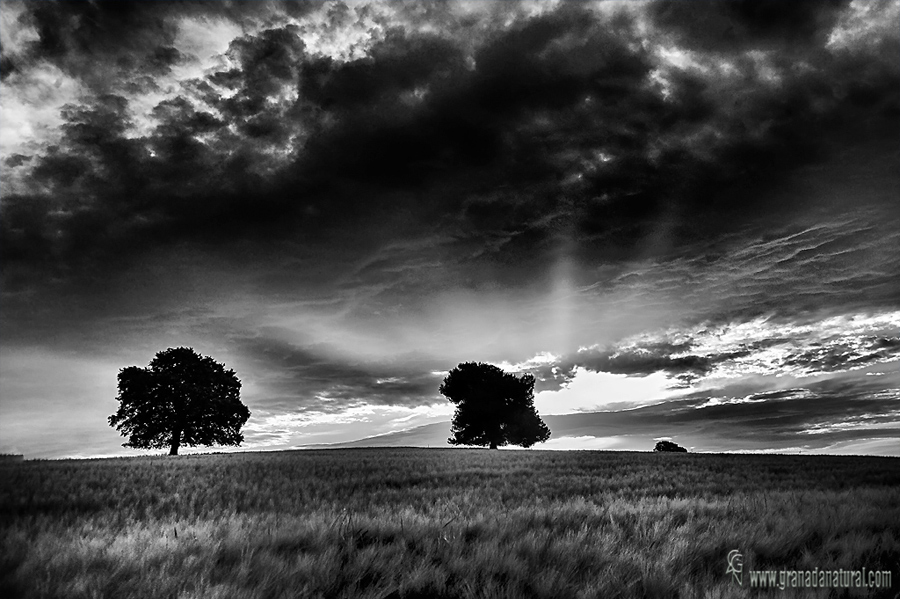 Paisajes de Alhama: Los llanos. Paisajes de Granada