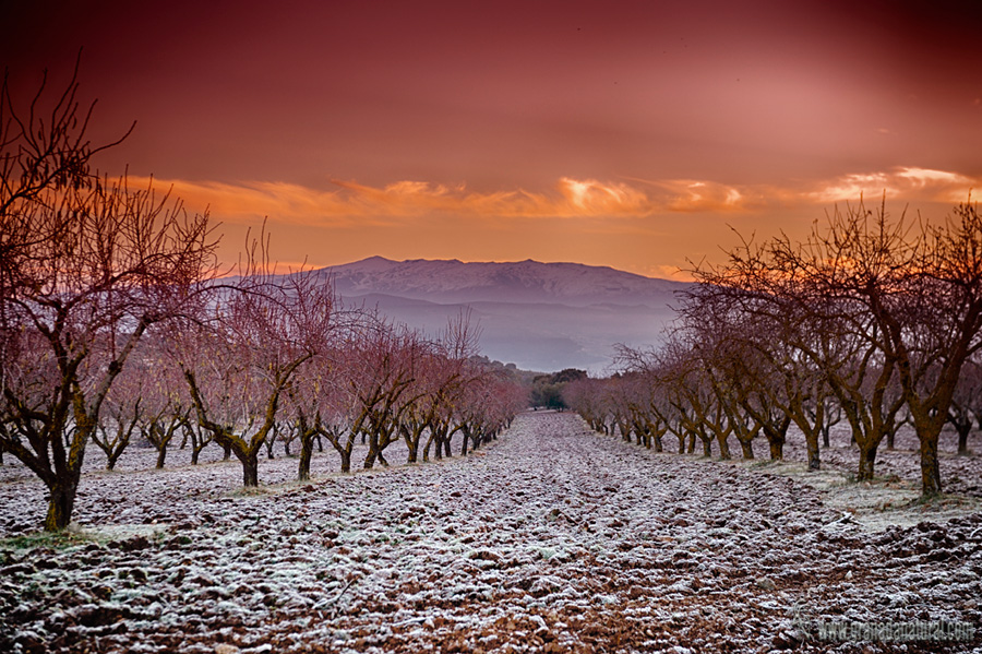 Los Llanos y Sierra Nevada (Alhama de Granada)