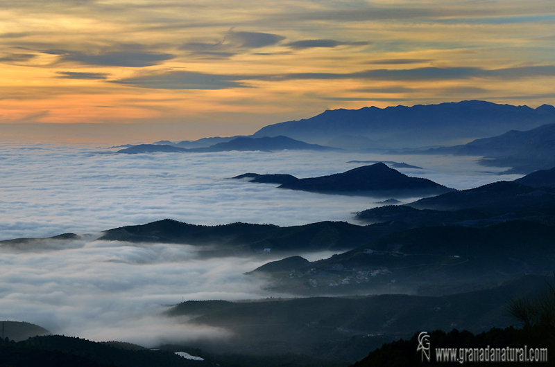 Mar de nubes en la costa de Motril