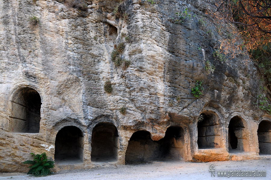 Tumbas bajo la Iglesia de la Villa (Montefrío)