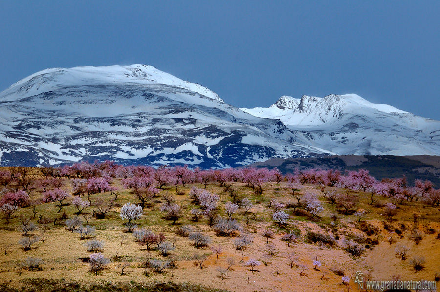 Mulhacn y Valle de 7 Lagunas desde la Contraviesa