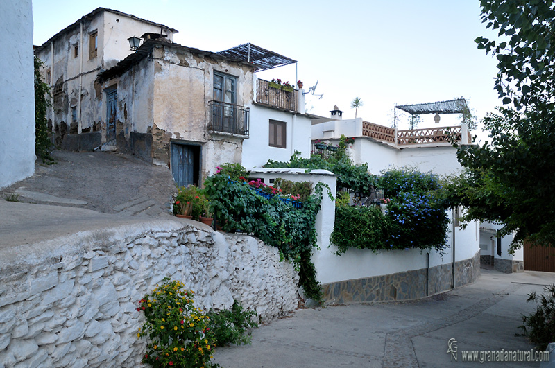 Rincón de Nechite ( Válor). Alpujarra