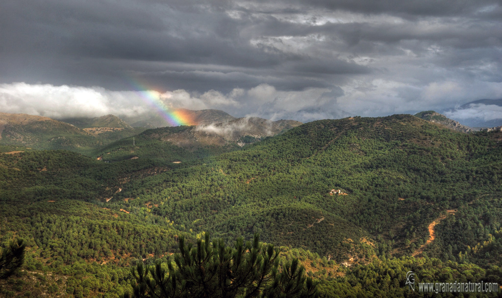 Parque natural de la Sierra de Huétor.