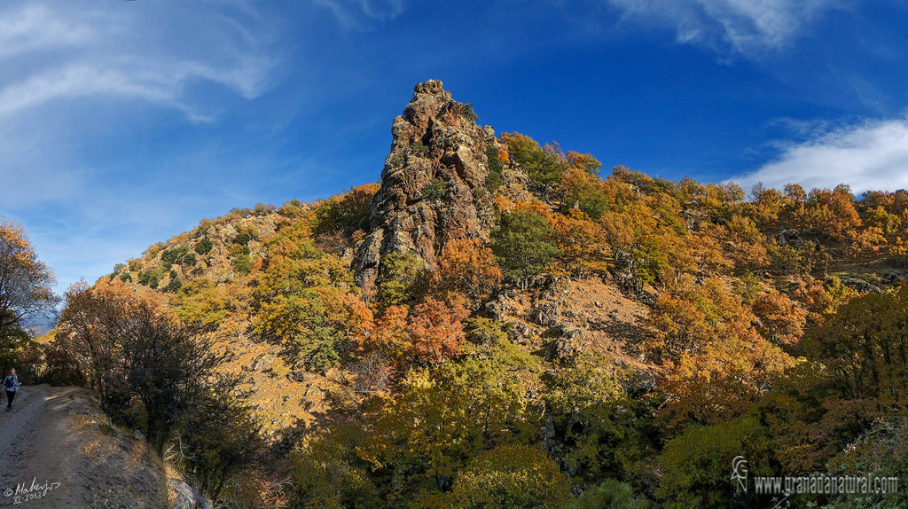 El bosque del Camarate Lugros . Paisajes de Granada