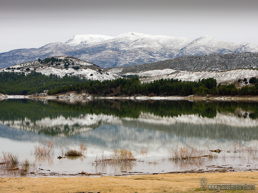 Pantano Bermejales y Tejeda. 