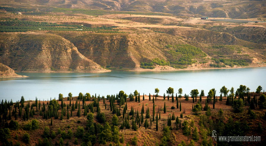 Embalse del Negratín (Cuevas del Campo)