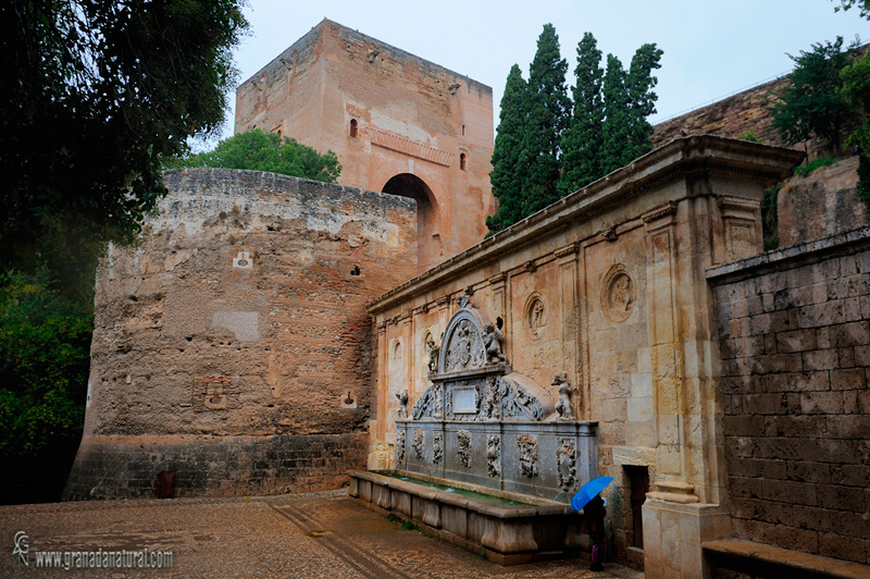 Fuente de Carlos V y bosque de la Alhambra. 