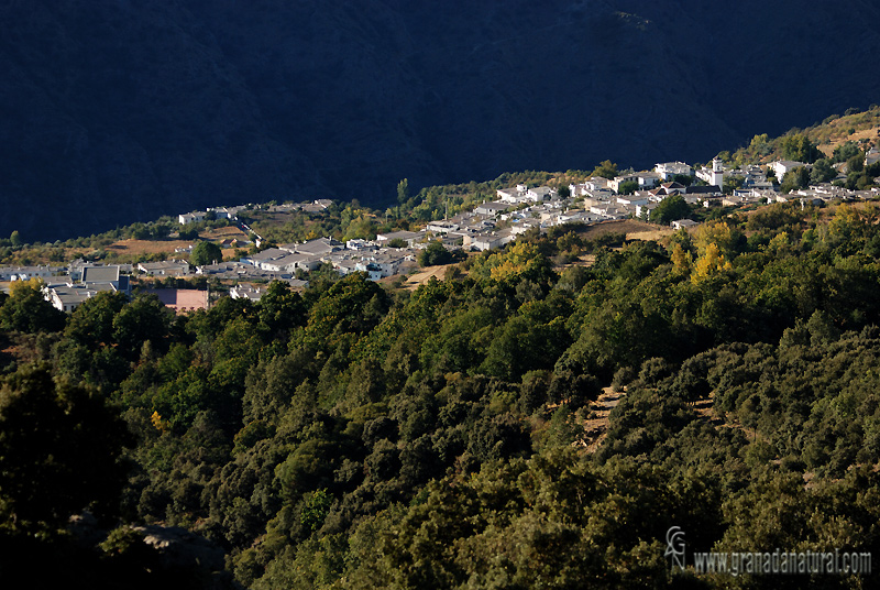 Pitres (La Tah�). Pueblos de Granada