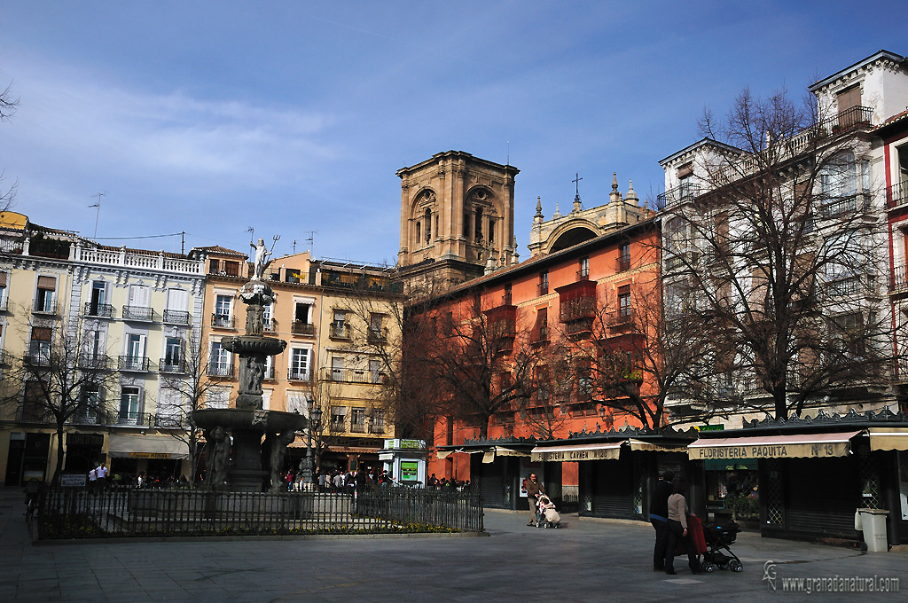 Plaza Bibarrambla