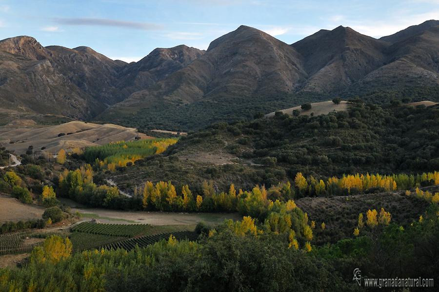 Vallle del río Marchán y Cerezal (P.N. Almijara, Tejeda, Alhama