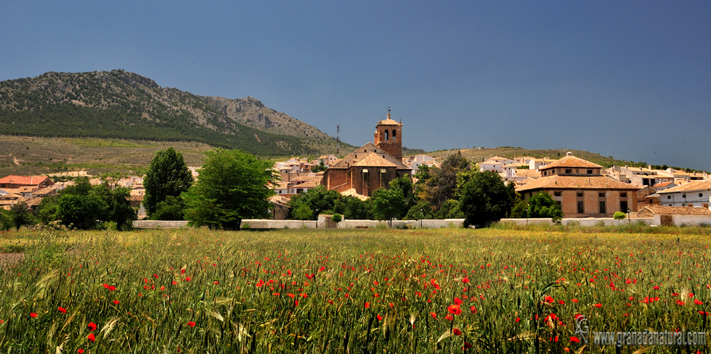 Puebla de Don Fadrique