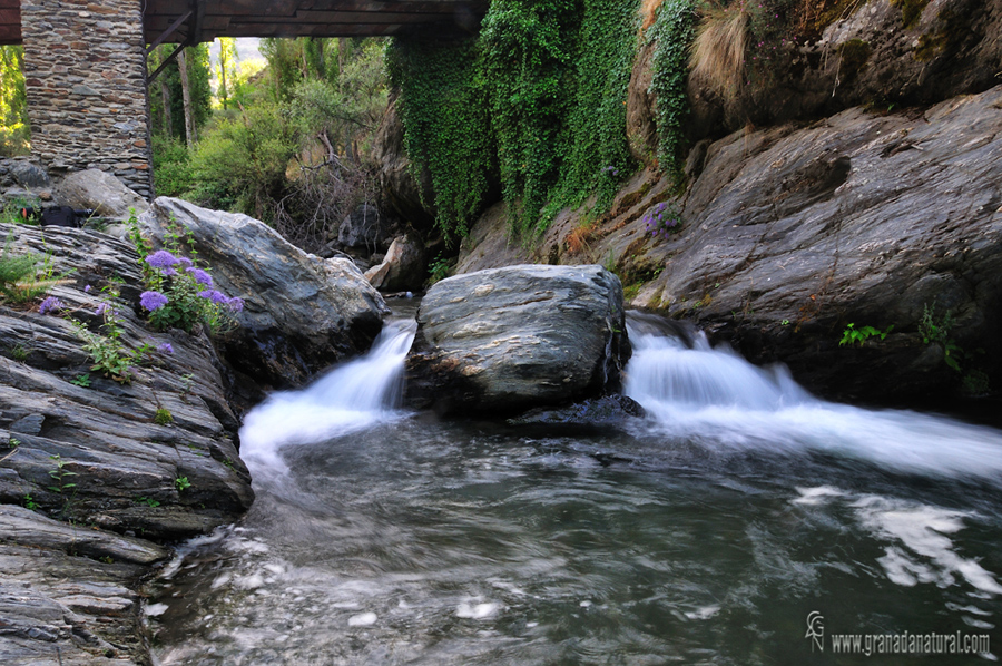 Rio Poqueira bajo el Puente de Abuchique ( Capileira). Paisajes de la Alpujarra