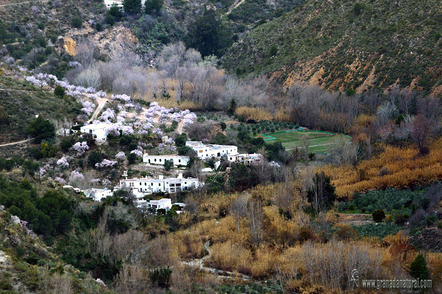 Puerto de Juviley y Orgiva. Pueblos de Granada