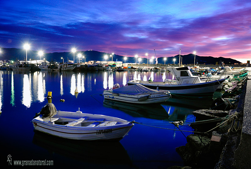 Puerto pesquero de Motril. 