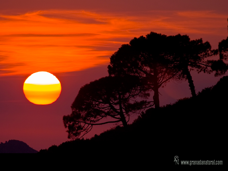 Atardecer en Sierra Tejeda. Atardecer en Granada