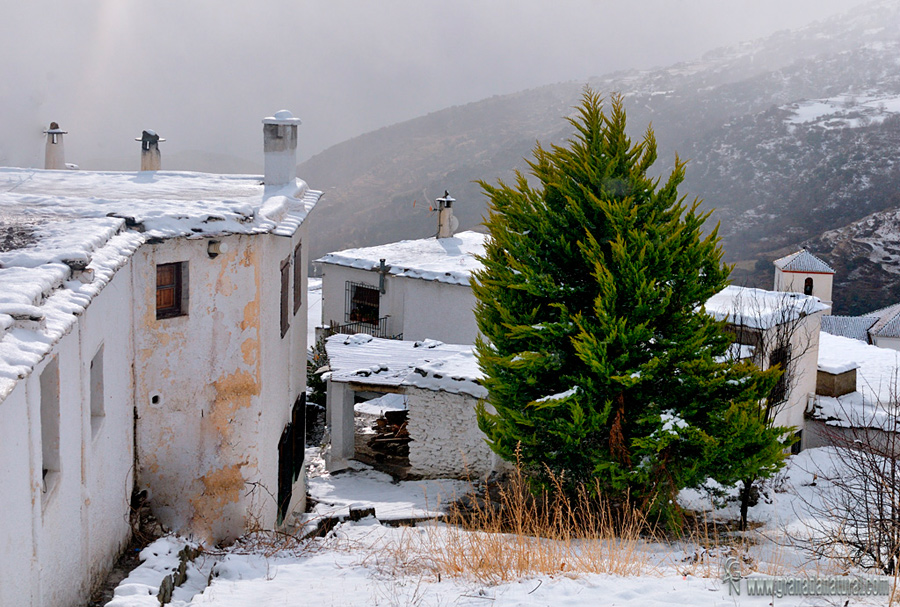 Nuevo rincón de Bubión nevada (Alpujarra granadina). Pueblos de Granada