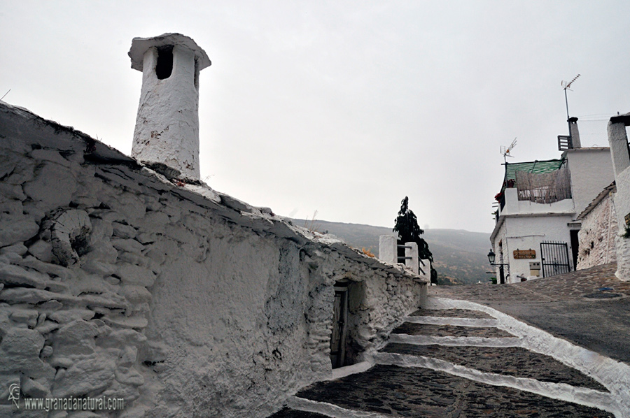 Rinc�n de Pampaneira. Pueblos de Granada