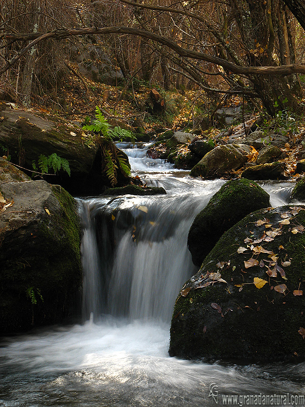 Río Alhorí ( Jeres del Marquesado). Paisajes de Granada