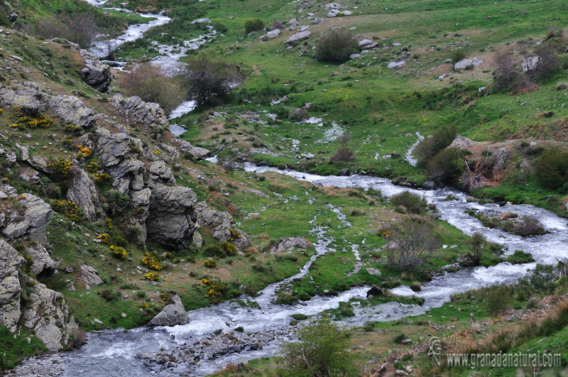 Río Grande de Bérchules. 