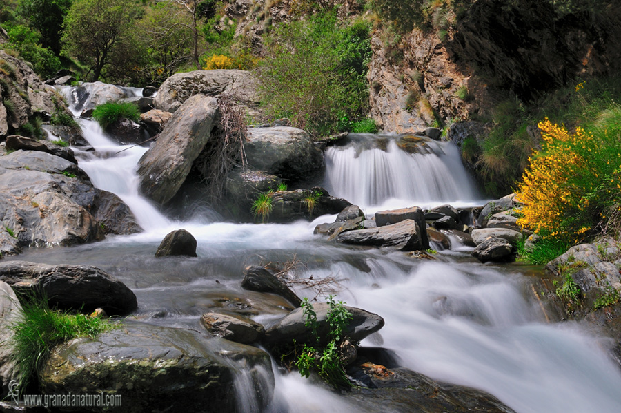 Río Guarnón  Vereda de la Estrella. Paisajes de Granada