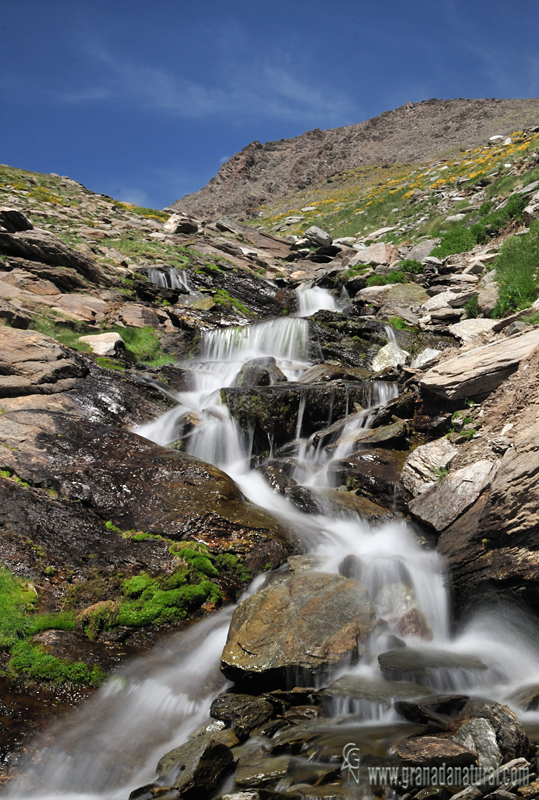 Río Mulhacen hacia el refugio del Poqueira. 