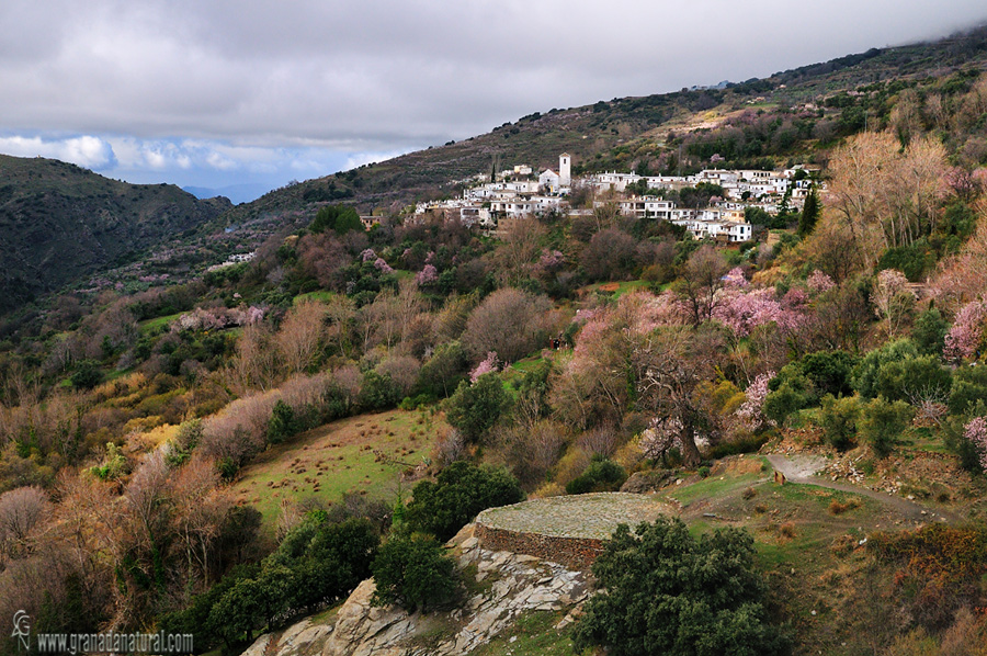 Era del Trance. Ferreirola y Fondales (Ruta Medieval)