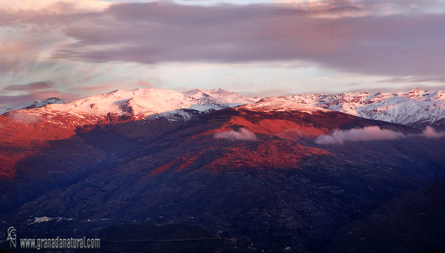 Sierra Nevada desde la Contraviesa