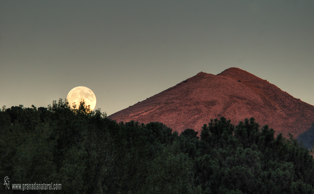 Sierra Tejeda ( Alhama de Granada).