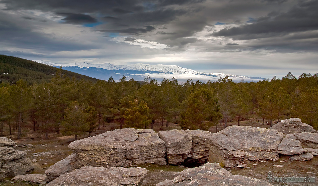 Sierra Nevada desde Sierra de Baza