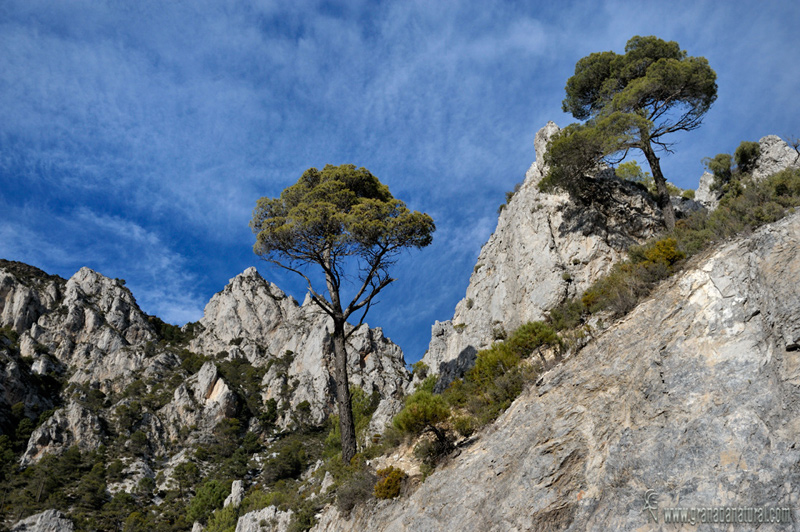 Sierra de Cázulas ( Carretera de la Cabra-Ot�var). Paisajes de Granada