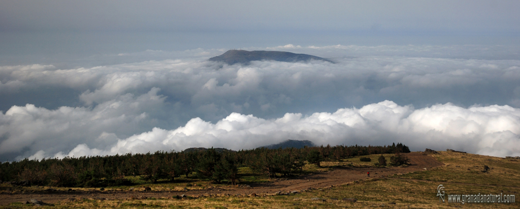 Sierra de L�jar desde Puerto Molina. Sierra Nevada.