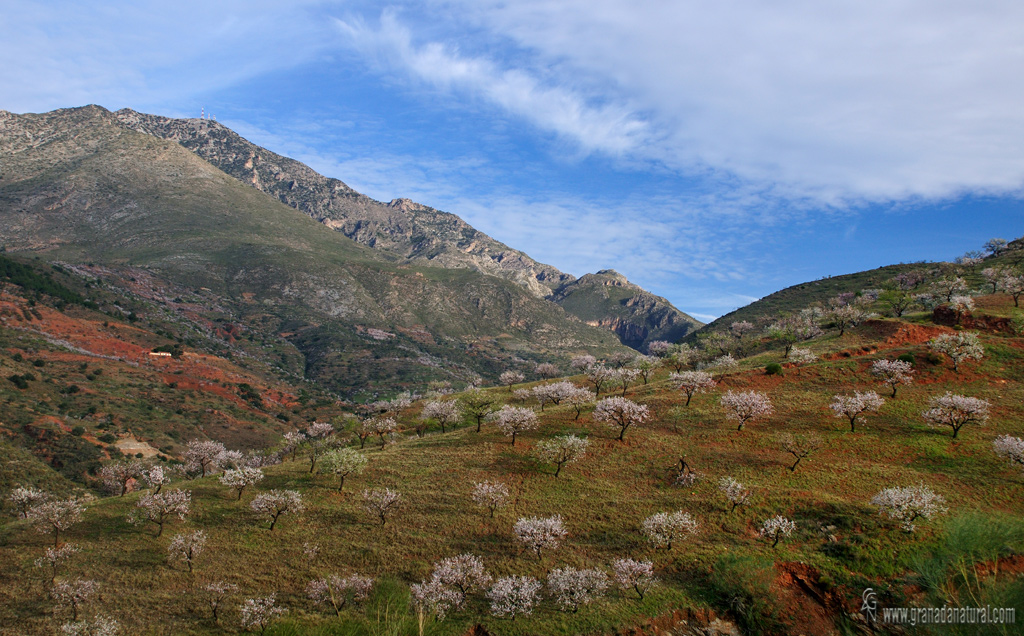 Sierra de Lújar sureste