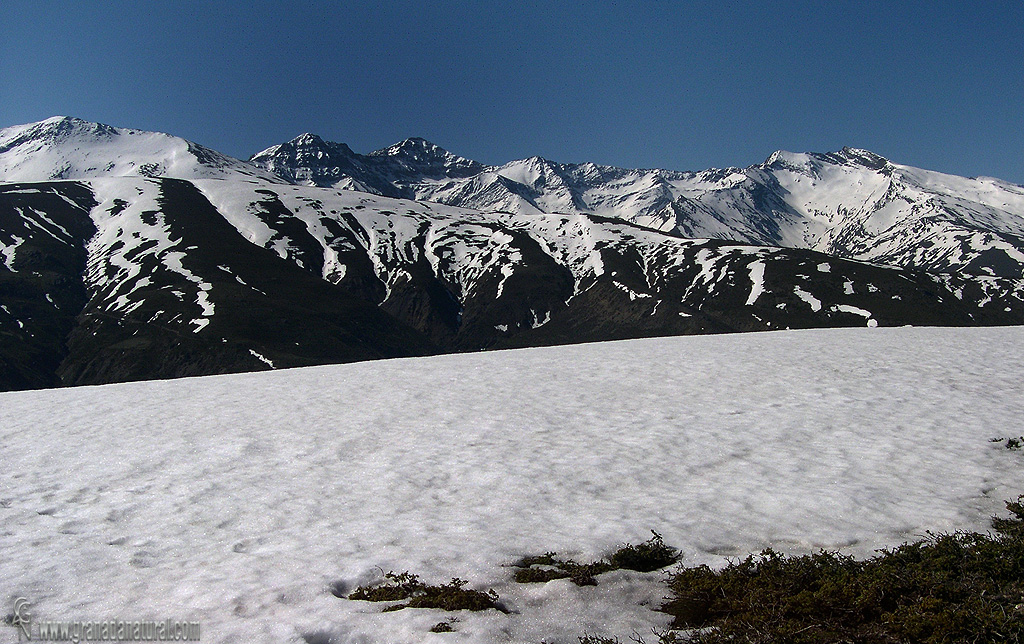 Cumbres de Sierra Nevada