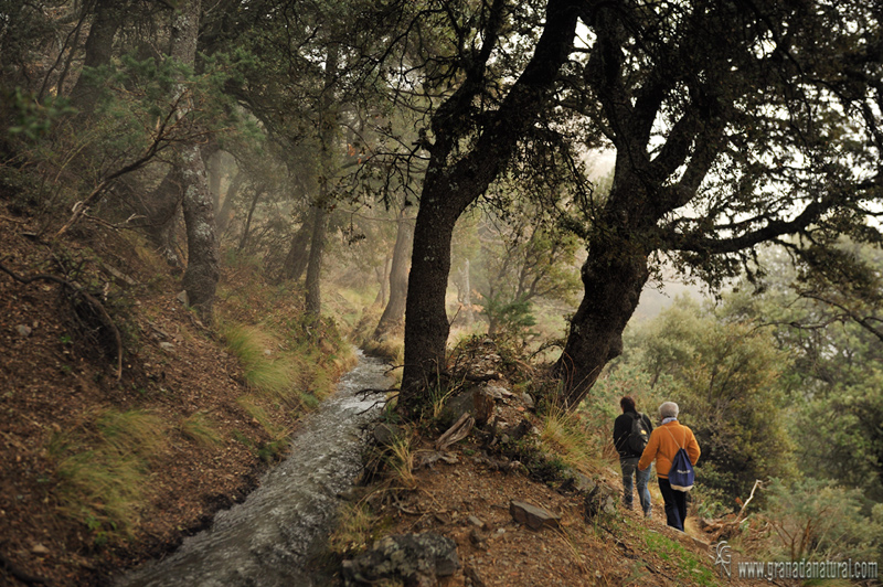 Sendero Sulayr tramo 5:Acequia de Almiar