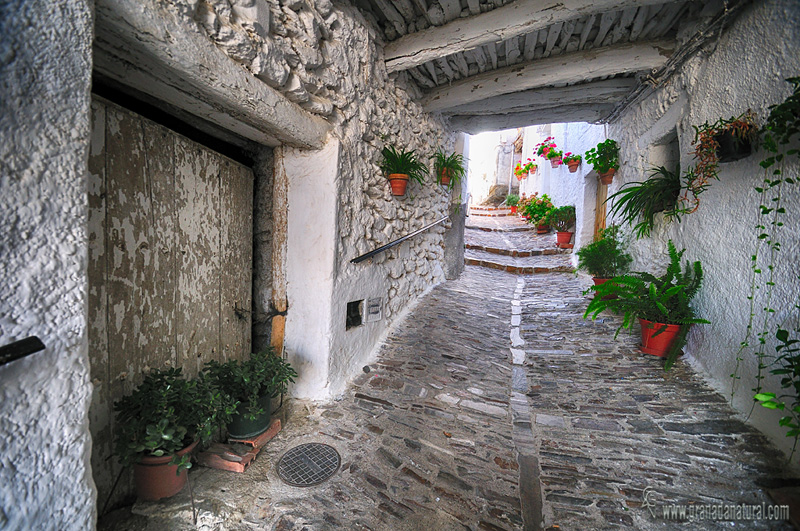 Tinao de Pitres ( la Tah). Alpujarra de Granada