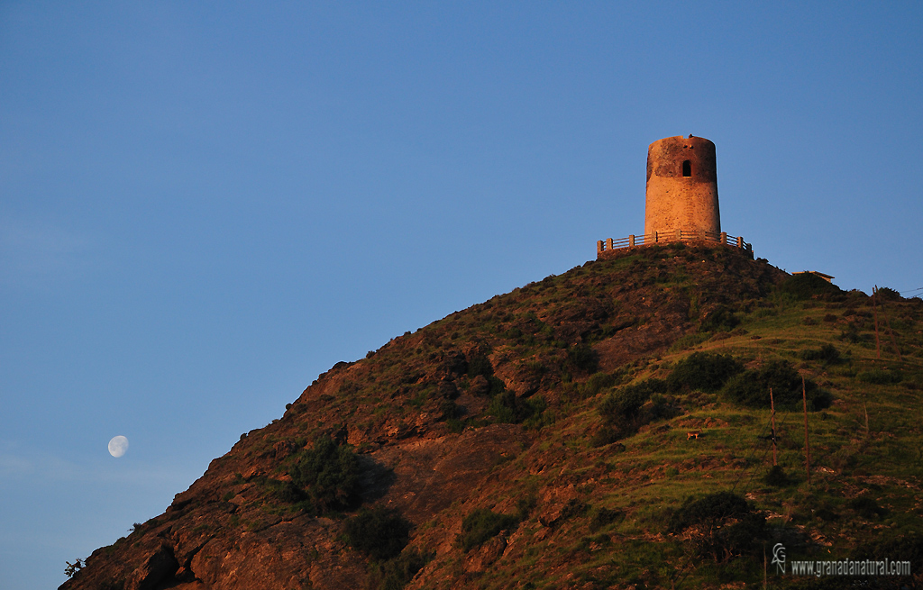 Torre de Cáutor ( La Mamola)