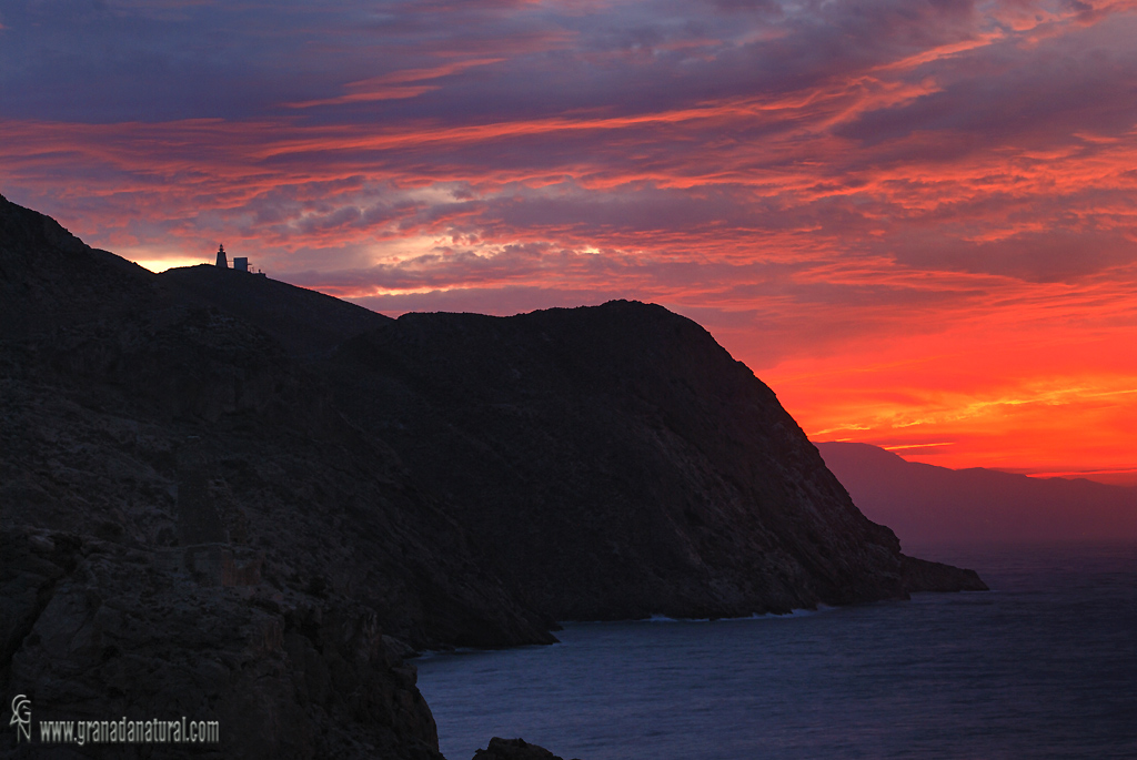 Acantilados de Gualchos y Torre de la Estancia