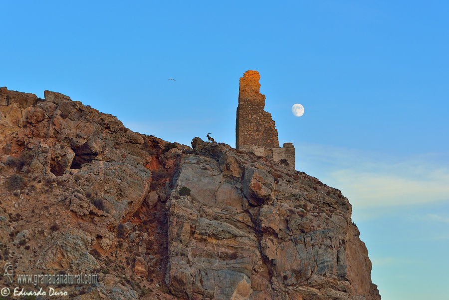 Reuni�n en la Torre de la Rijana. Paisajes de Granada