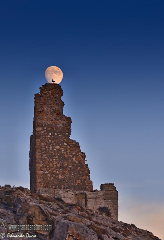 Torre Rijana y Luna. Paisajes de Granada