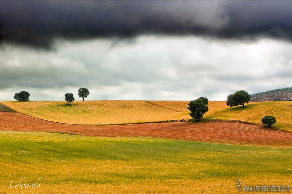 Paisaje rural de TorreCardela. Pueblos de Granada.