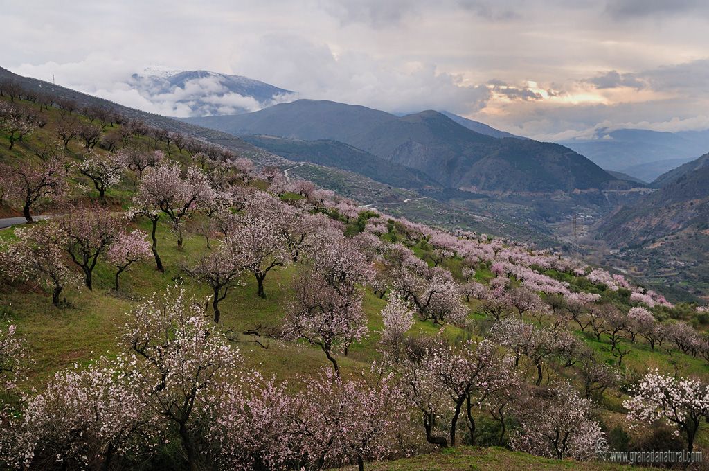 Valle del Guadalfeo y Sierra Lújar