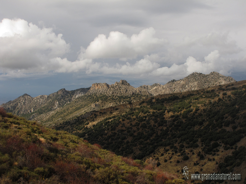 Valle del río Dúrcal (Sierra Nevada)