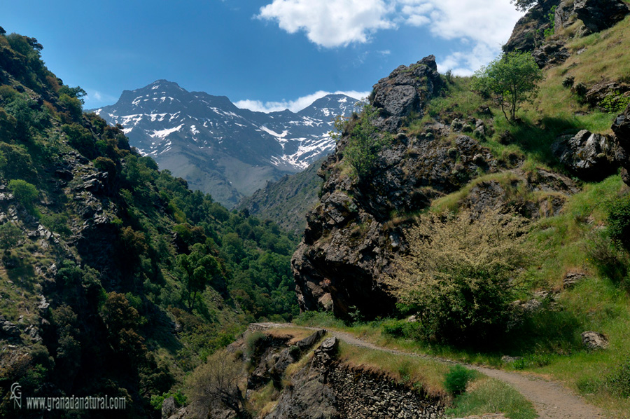 Vereda de la Estrella ( Sierra Nevada)