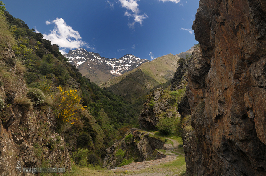 Vereda de la Estrella. Paisaje de Granada